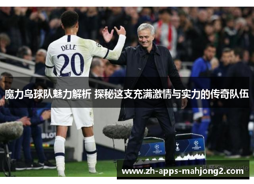 魔力鸟球队魅力解析 探秘这支充满激情与实力的传奇队伍 魔力鸟球队魅力解析 探秘这支充满激情与实力的传奇队伍